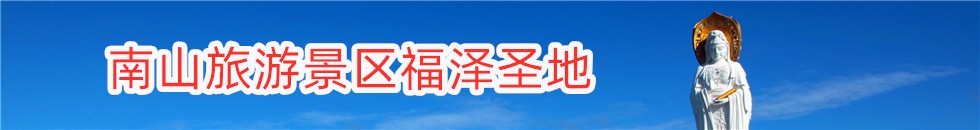 九五版本库